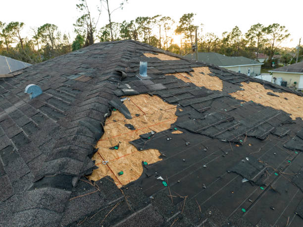 Best Asphalt Shingle Roofing  in East Dennis, MA